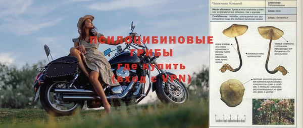 таблы Алексин