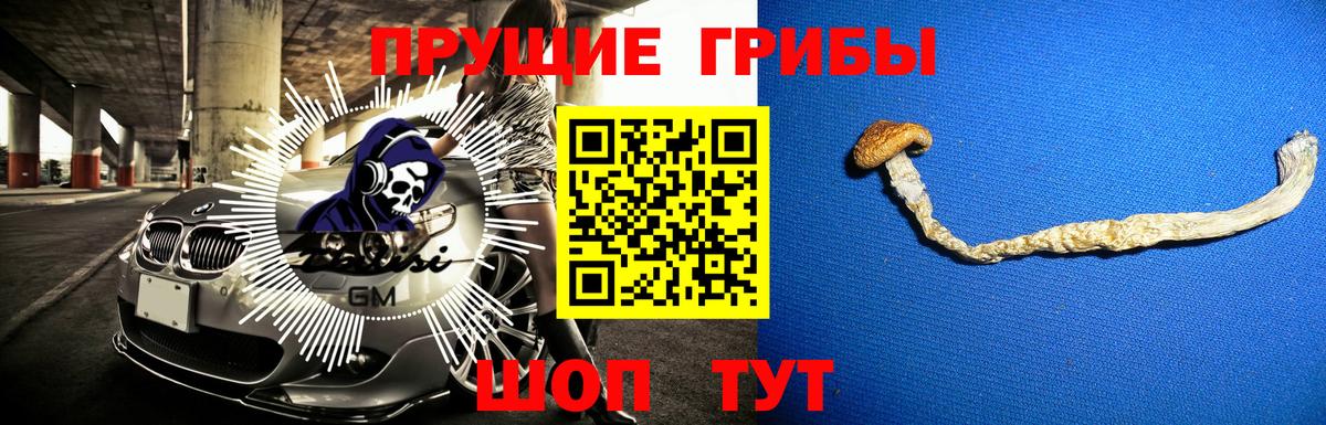 Галлюциногенные грибы Cubensis  Вход с VPN  Апшеронск 